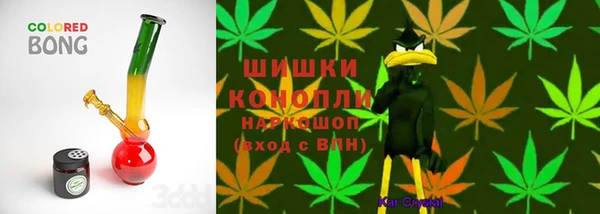 мяу мяу мука Абаза
